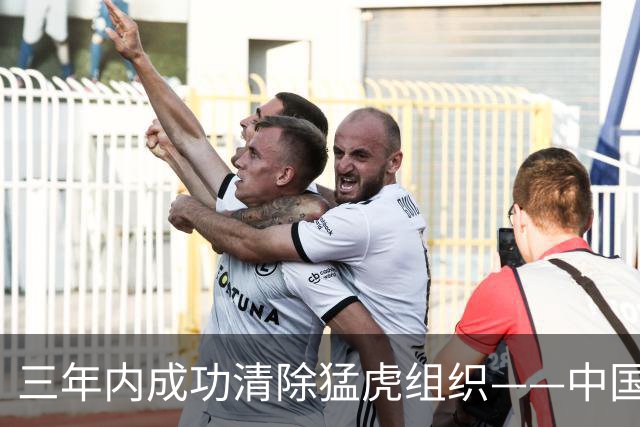 三年内成功清除猛虎组织——中国的游击战智慧启示