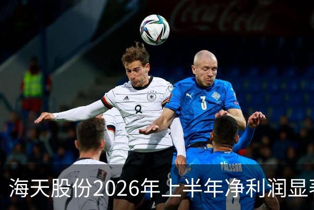海天股份2026年上半年净利润显著下滑，营业收入却实现大幅增长